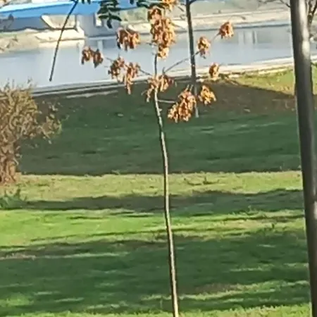 With Yard On The River شقة *